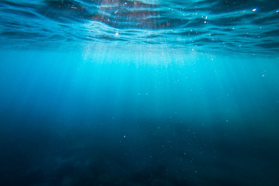 Light shines into the water just below the ocean's surface, photo by Cristian Palmer/Unsplash