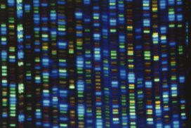 Image of the output from a DNA sequencer