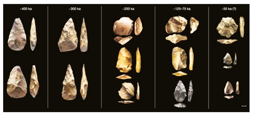 Figure 4. Assemblages from Khall Amsayah and Jubbah lake sites in north Arabia. Left to right: A (ca. 400 ka); B (ca. 300 ka); C (ca.200 ka); D (ca. 100 ka); E (ca. 55 ka). Scale bar at right is 1 cm