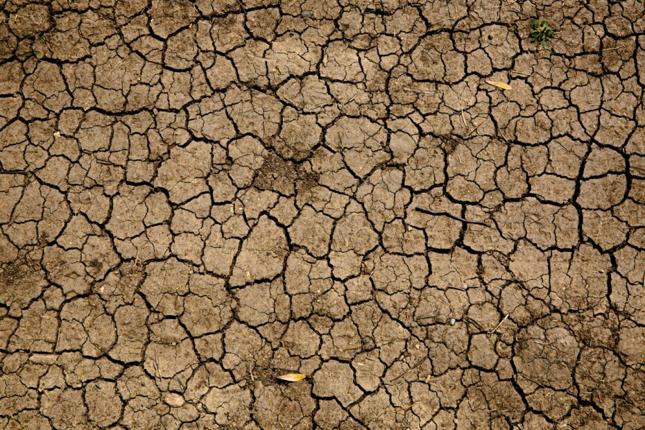 Detailed image showing dry, cracked earth, photo by Mike Erskine
